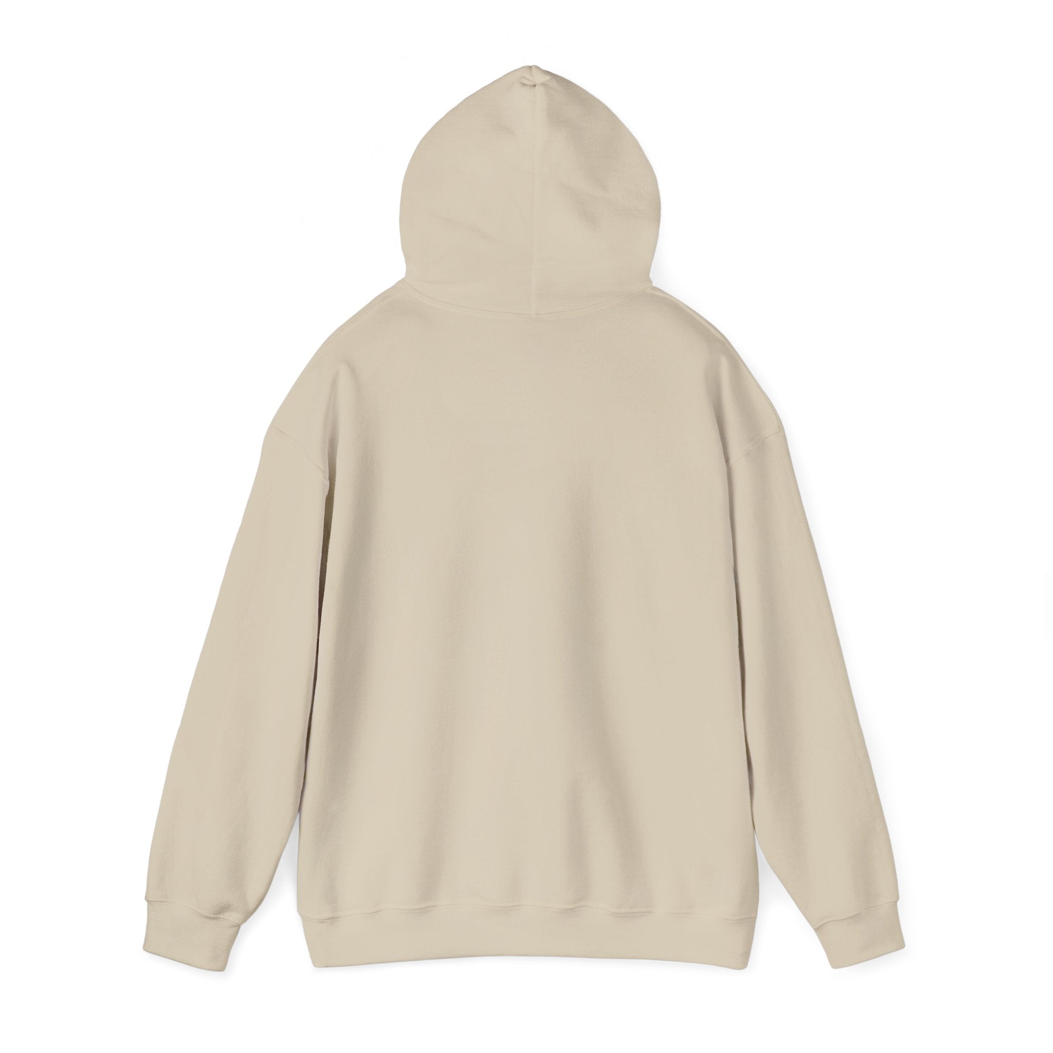 Minimal Bow Hoodie